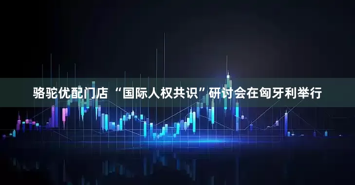 骆驼优配门店 “国际人权共识”研讨会在匈牙利举行