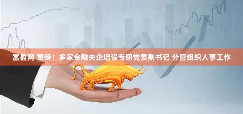 富盈网 重磅！多家金融央企增设专职党委副书记 分管组织人事工作