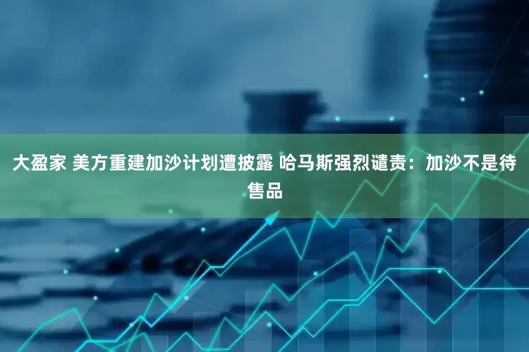 大盈家 美方重建加沙计划遭披露 哈马斯强烈谴责：加沙不是待售品