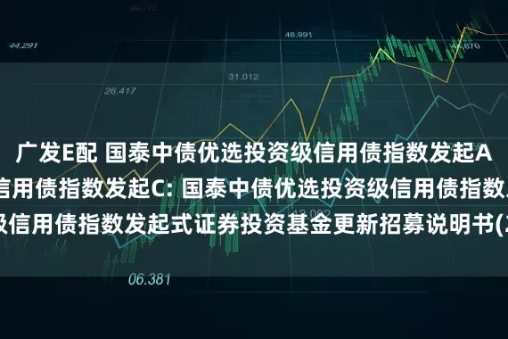 广发E配 国泰中债优选投资级信用债指数发起A,国泰中债优选投资级信用债指数发起C: 国泰中债优选投资级信用债指数发起式证券投资基金更新招募说明书(2025年第一号)