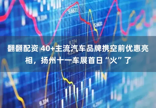 翻翻配资 40+主流汽车品牌携空前优惠亮相，扬州十一车展首日“火”了